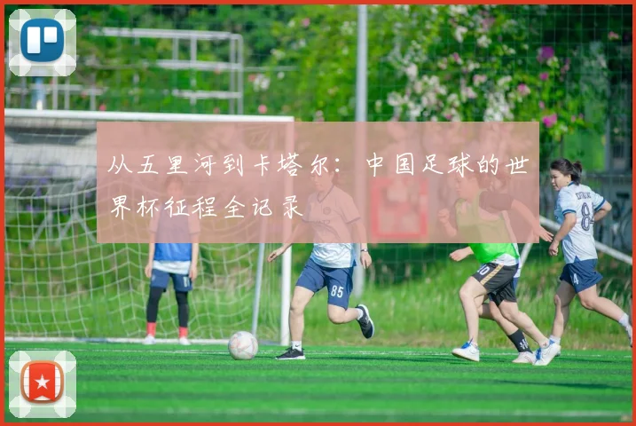 从五里河到卡塔尔：中国足球的世界杯征程全记录