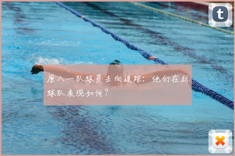 原八一队球员去向追踪：他们在新球队表现如何？