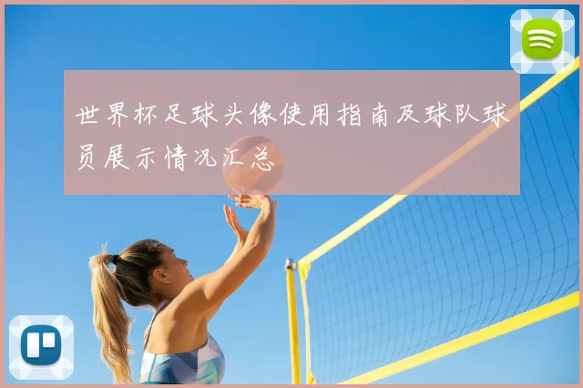 世界杯足球头像使用指南及球队球员展示情况汇总