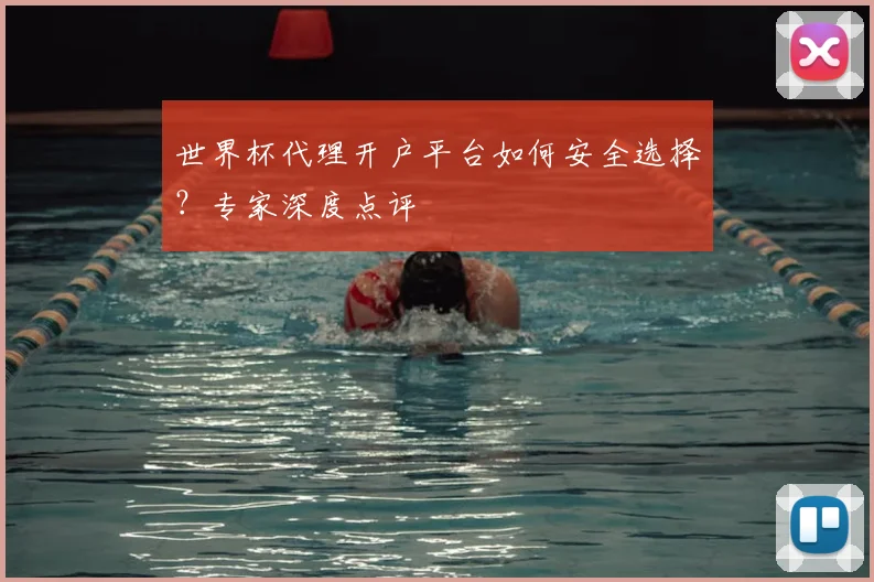 世界杯代理开户平台如何安全选择？专家深度点评