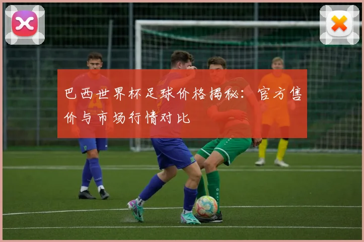 巴西世界杯足球价格揭秘：官方售价与市场行情对比